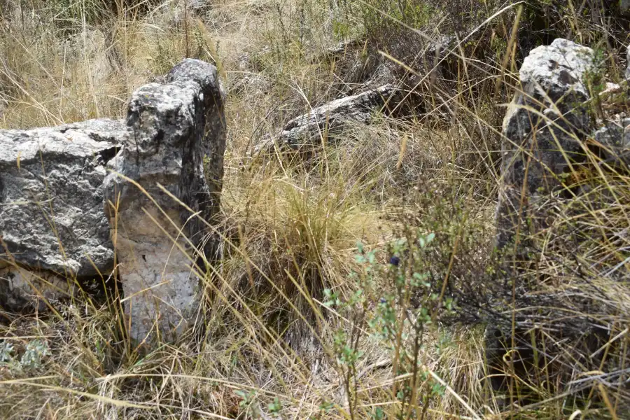 Imagen Sitio Arqueologico Ayacoto De Tomas - Imagen 5