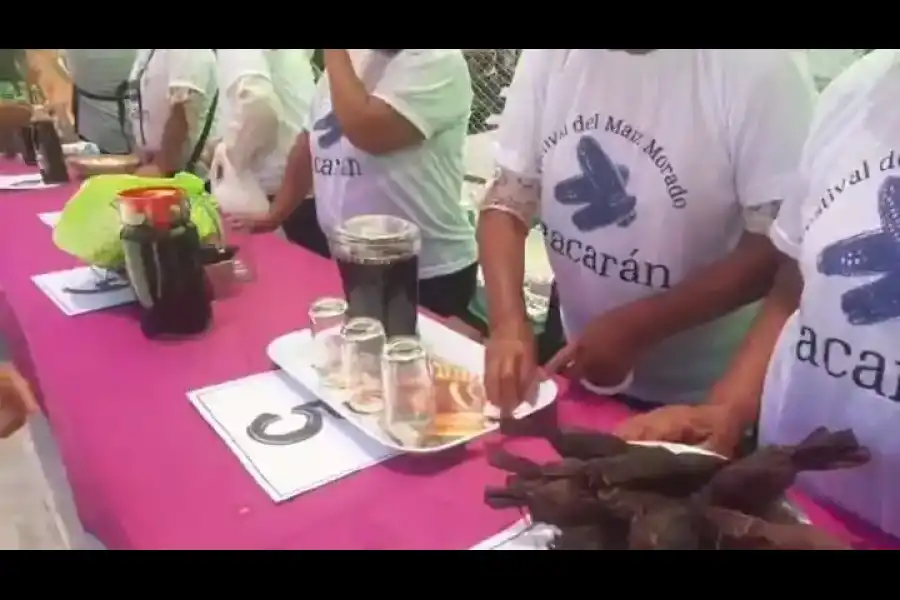 Imagen Festival Del Maíz Morado De Pacarán - Imagen 6