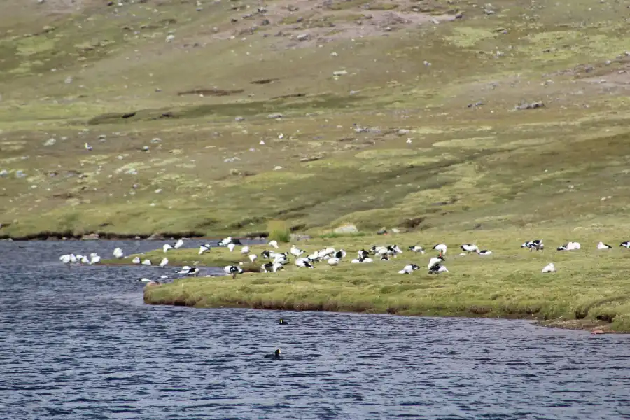 Imagen Laguna Chuspicocha De Tanta - Imagen 6