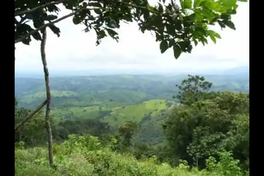 Imagen Reserva Nacional De Tumbes - Imagen 1