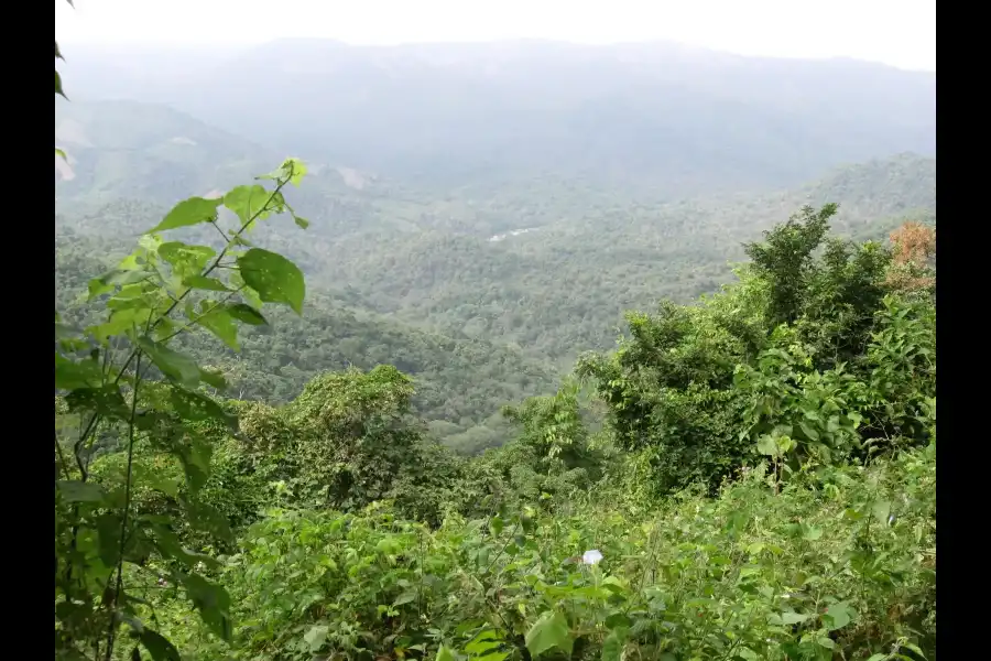 Imagen Reserva Nacional De Tumbes - Imagen 3