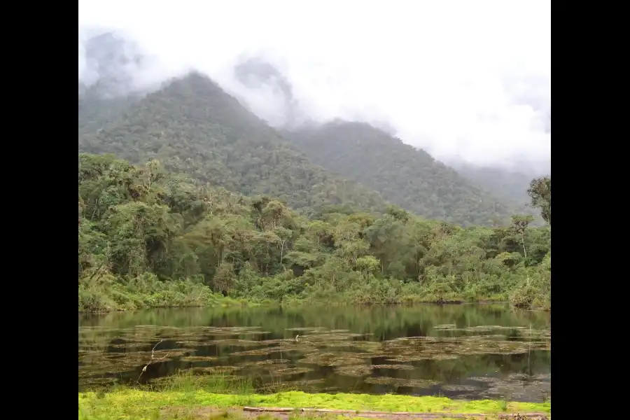 Imagen Parque Nacional Yanachaga-Chemillén - Zona San Daniel - Imagen 1