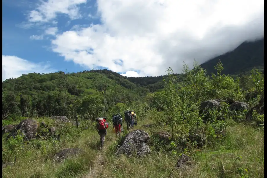 Imagen Parque Nacional Yanachaga-Chemillén - Zona San Daniel - Imagen 3