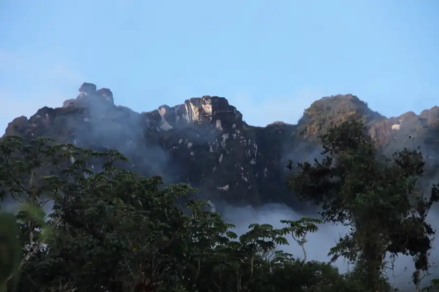 Imagen Parque Nacional Yanachaga-Chemillén - Zona San Daniel - Imagen 5