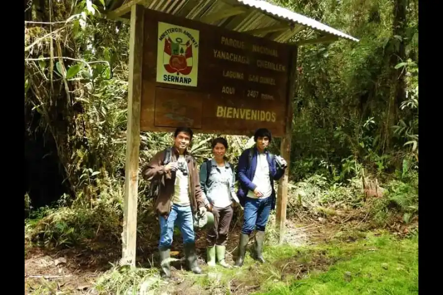 Imagen Parque Nacional Yanachaga-Chemillén - Zona San Daniel - Imagen 6