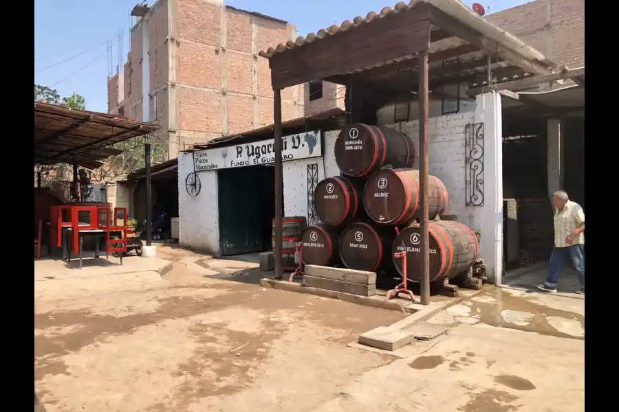 Imagen Bodega El Guayabo - Imagen 1