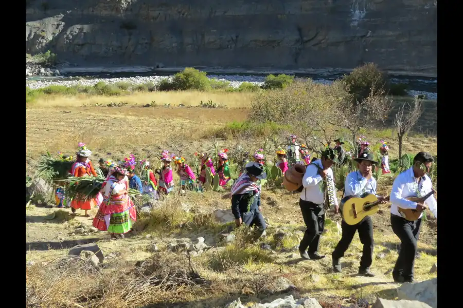 Imagen Festividad La Soltera De La Comunidad De Lucco - Imagen 1