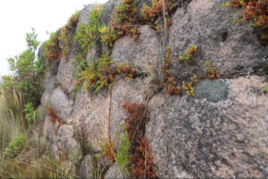 Imagen Recinto Ceremonial De Pumaccahuancca - Imagen 1