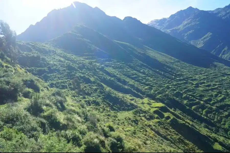 Imagen Andenerías De Chucumayo - Imagen 3