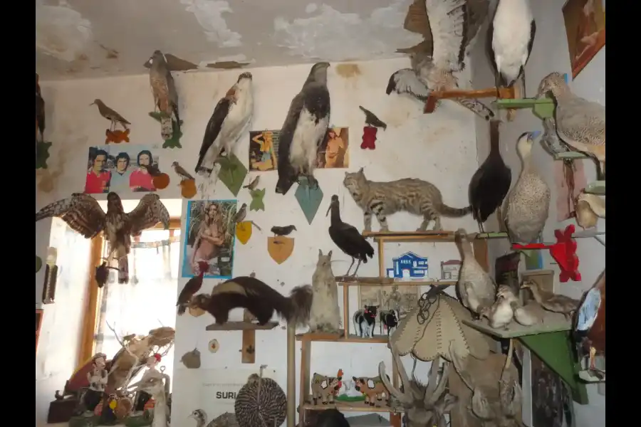 Imagen Museo De Taxidermia De Tahuaco - Imagen 3