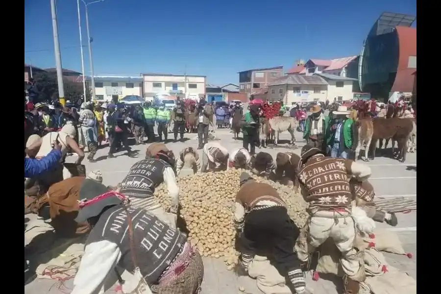 Imagen Concurso De Llamas De Carga – Ninacaca Pasco - Imagen 3