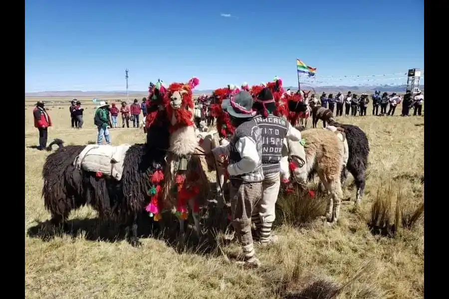 Imagen Concurso De Llamas De Carga – Ninacaca Pasco - Imagen 4