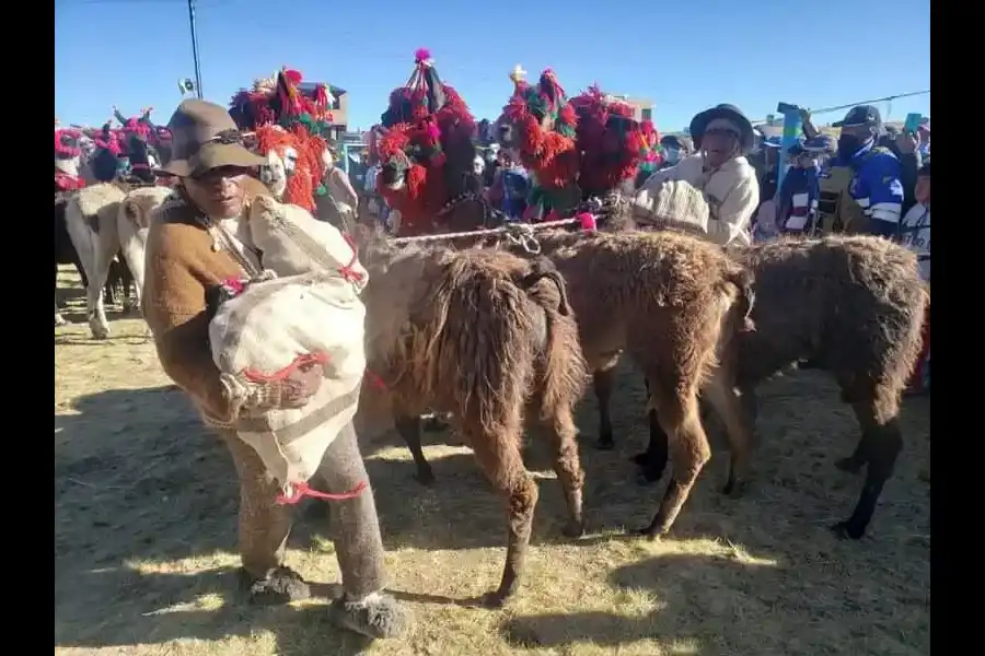 Imagen Concurso De Llamas De Carga – Ninacaca Pasco - Imagen 6