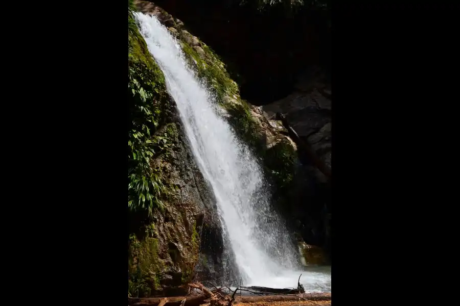 Imagen Cascada De Shitariyacu - Imagen 1