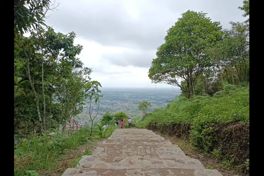 Imagen Cerro Mirador Andino Amazónico - Imagen 3