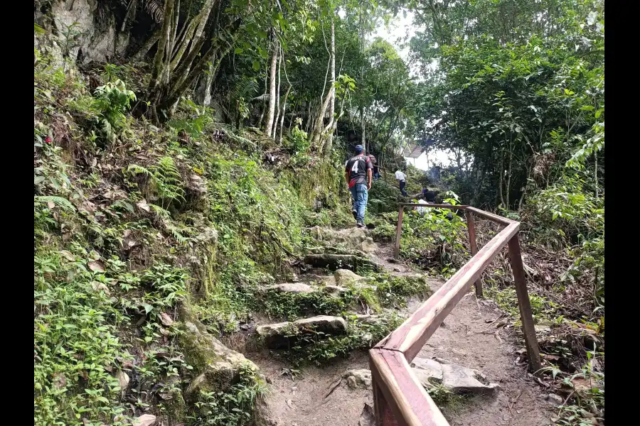 Imagen Cerro Mirador Andino Amazónico - Imagen 6