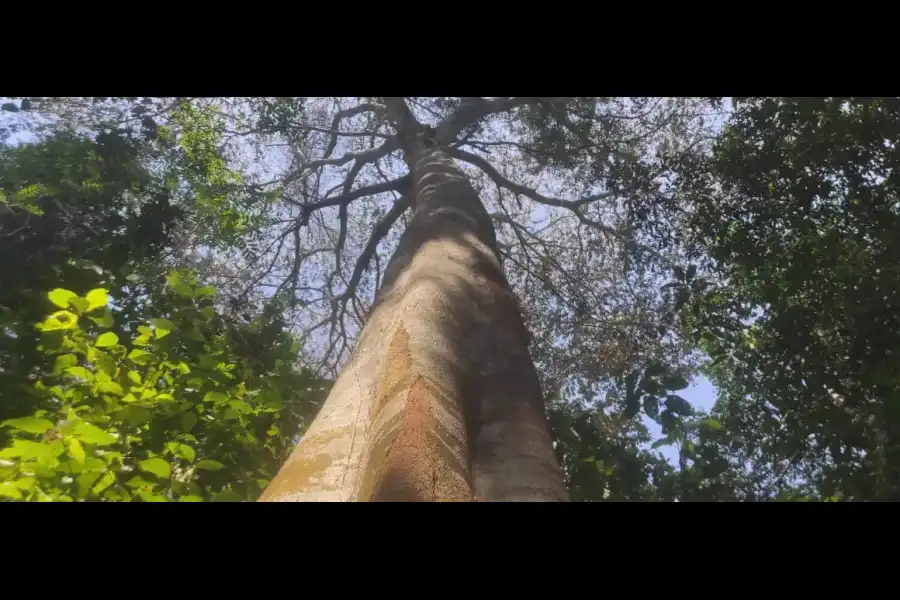 Imagen Centro De Conservación Ecológico Sinchi Wasi - Imagen 4