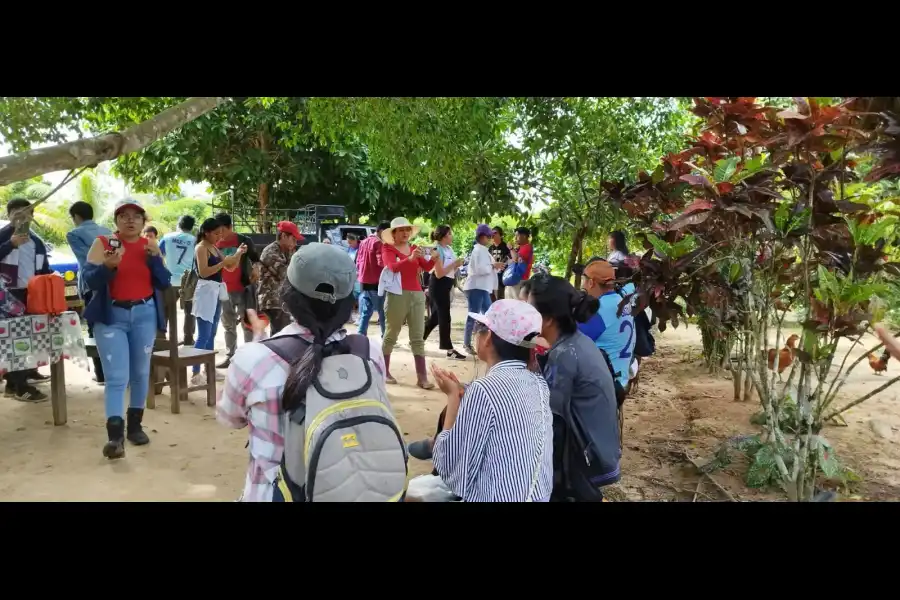 Imagen Centro De Conservación Ecológico Sinchi Wasi - Imagen 7