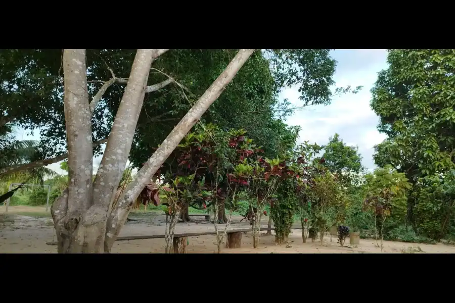 Imagen Centro De Conservación Ecológico Sinchi Wasi - Imagen 8