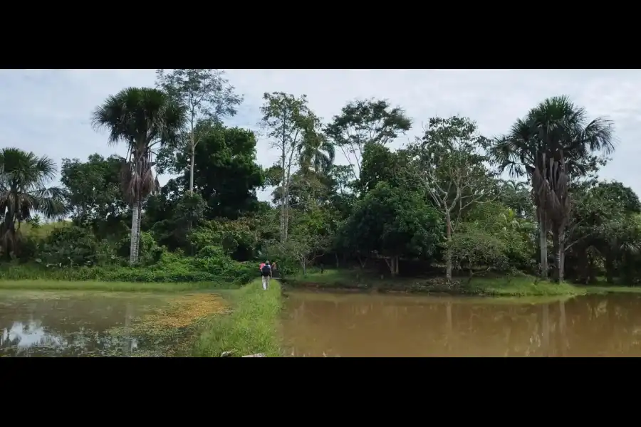 Imagen Centro De Conservación Ecológico Sinchi Wasi - Imagen 9