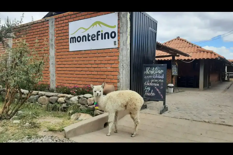 Imagen Granja Agropecuaria Montefino - Chiara - Imagen 1