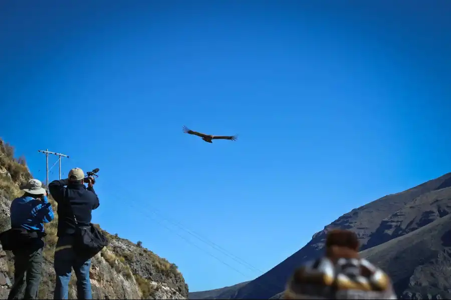 Imagen Observatorio  Natural De Condores  Del Cañon De Yanapaqcha - Imagen 1