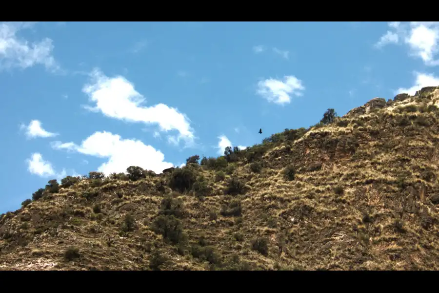 Imagen Observatorio  Natural De Condores  Del Cañon De Yanapaqcha - Imagen 3