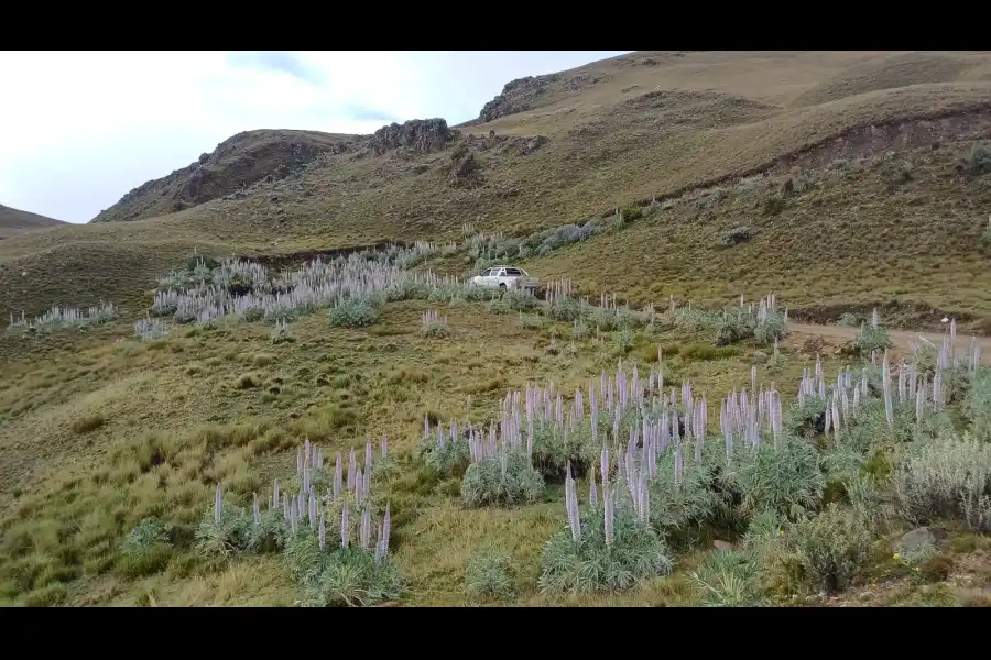 Imagen Laguna De Tuctubamba - Imagen 10