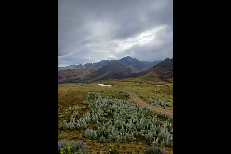 Imagen Laguna De Tuctubamba - Imagen 11