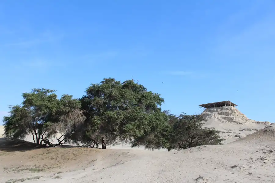 Imagen Ciudadela De Pañamarca - Imagen 6