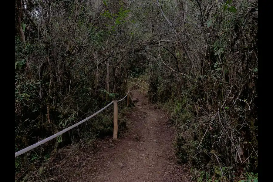 Imagen Cerro La Botica - Imagen 5