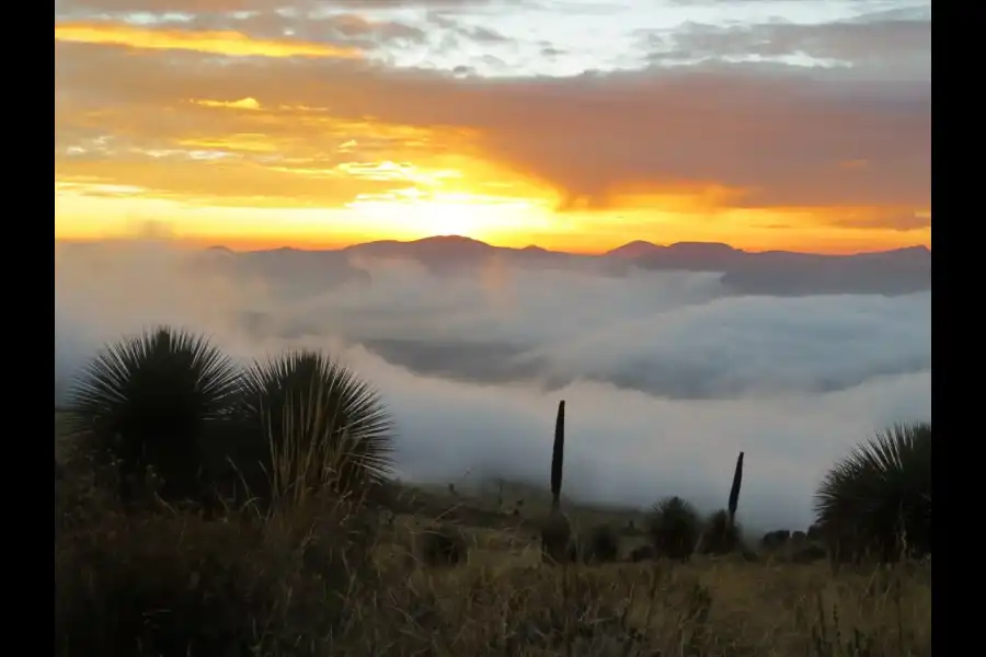 Imagen Santuario Nacional De Calipuy - Imagen 5