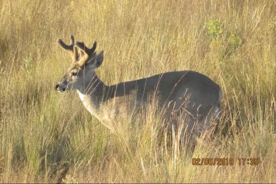 Imagen Santuario Nacional De Calipuy - Imagen 7