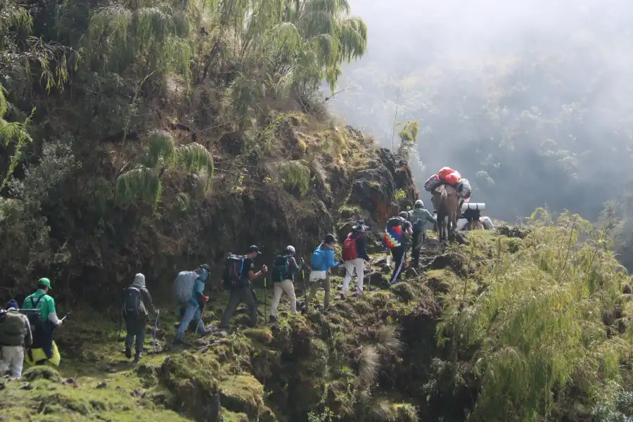 Imagen Camino De Los Colonos Y Arrieros - Imagen 1