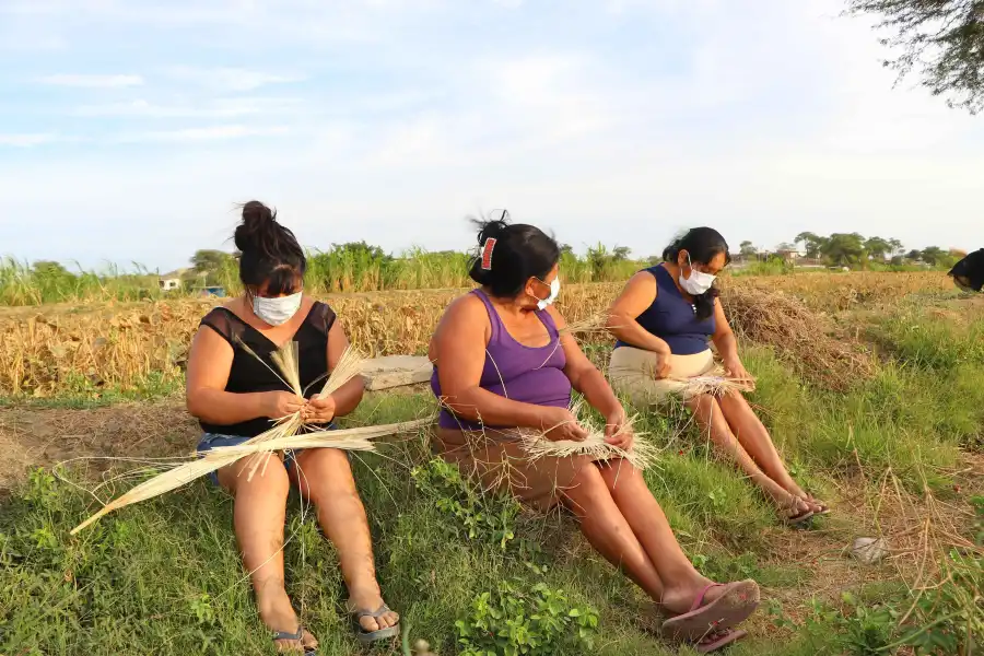 Imagen Sombrero De Paja Toquilla - Imagen 4