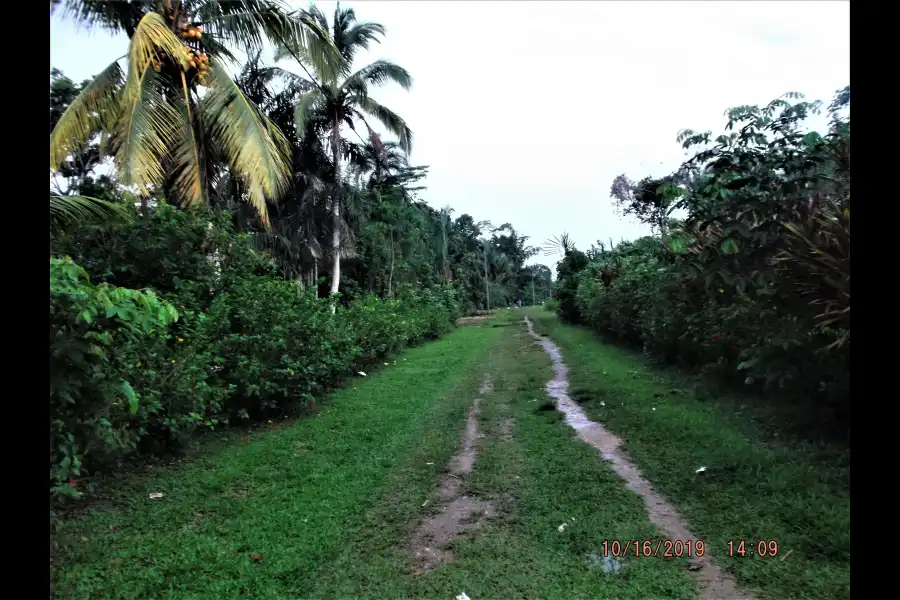 Imagen Pueblo De Saringabeni - Imagen 12