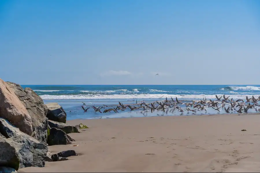 Imagen Playa San Isidro “La Bomba” - Imagen 5