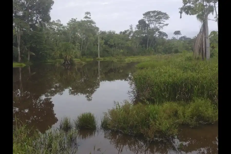 Imagen Espejo De Agua La Novia - Imagen 7