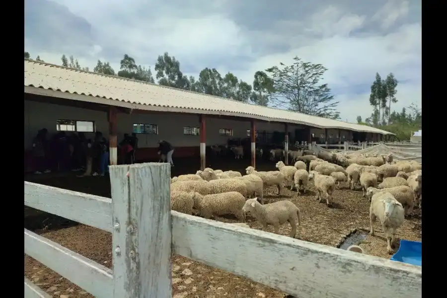 Imagen Estación Experimental Agraria Santa Ana Junín - Inia - Imagen 6