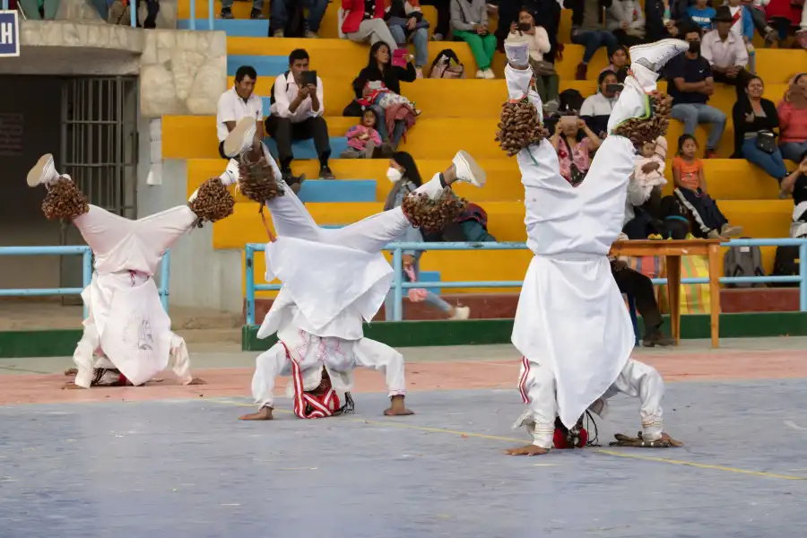 Imagen Danza De Los Shacshas De Yungay - Imagen 5