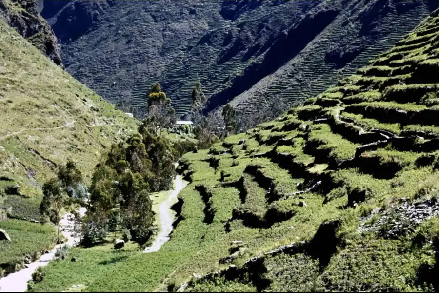 Imagen Andenes Milenarios De Cuyocuyo - Imagen 4