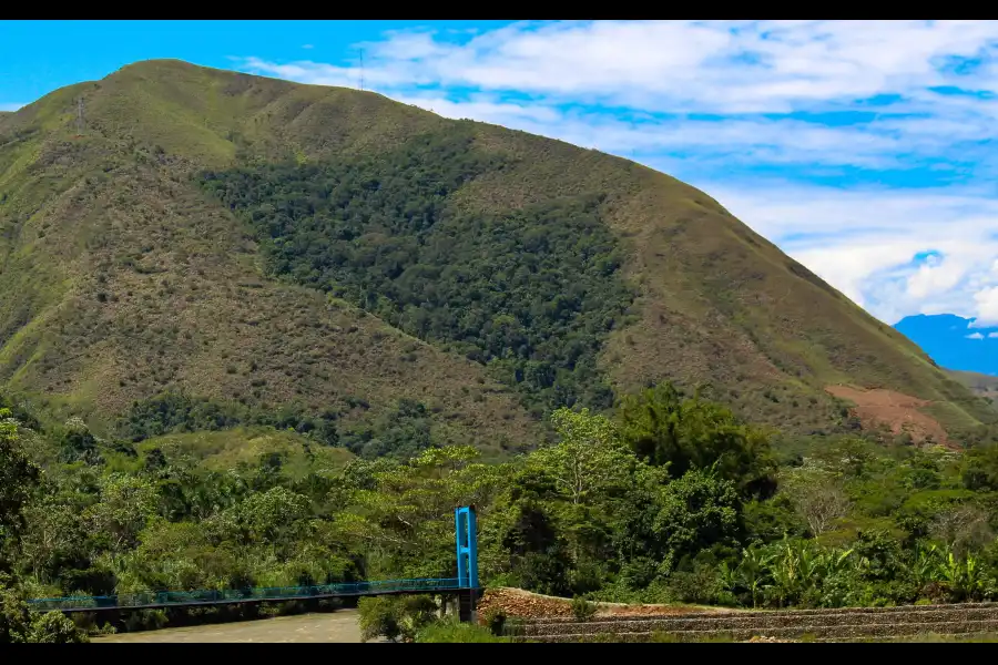 Imagen Bosque Mapa Del Perú - Imagen 23