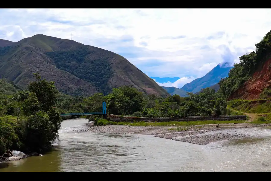 Imagen Bosque Mapa Del Perú - Imagen 24