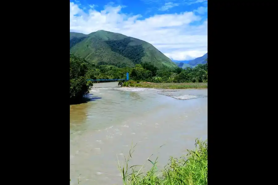 Imagen Bosque Mapa Del Perú - Imagen 3