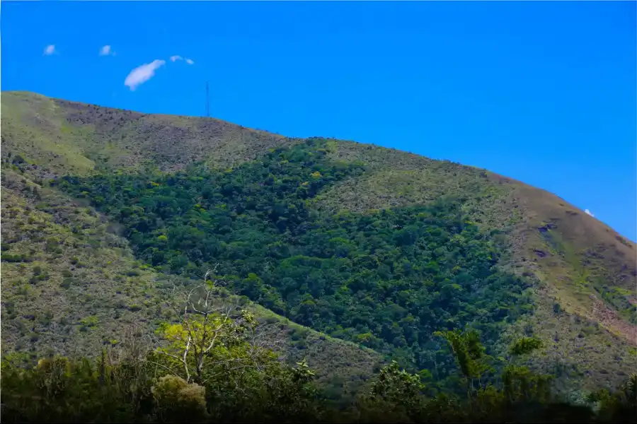 Imagen Bosque Mapa Del Perú - Imagen 4