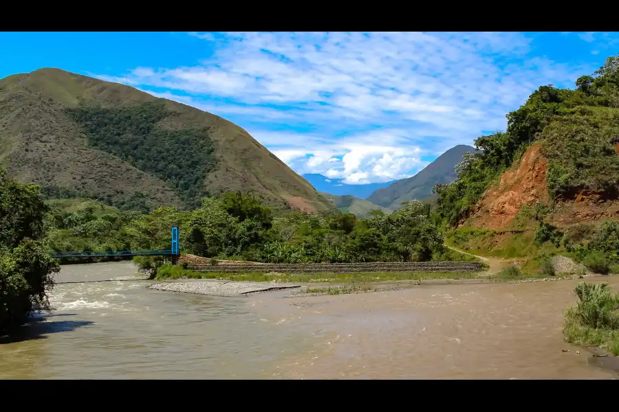 Imagen Bosque Mapa Del Perú - Imagen 5