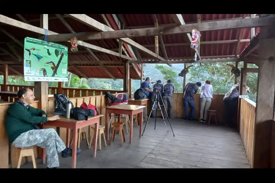 Imagen El Mirador Del Restaurante El Mono Y La Gata - Imagen 7