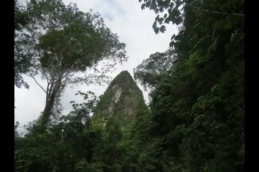 Imagen Cerro La Huanca - Imagen 3