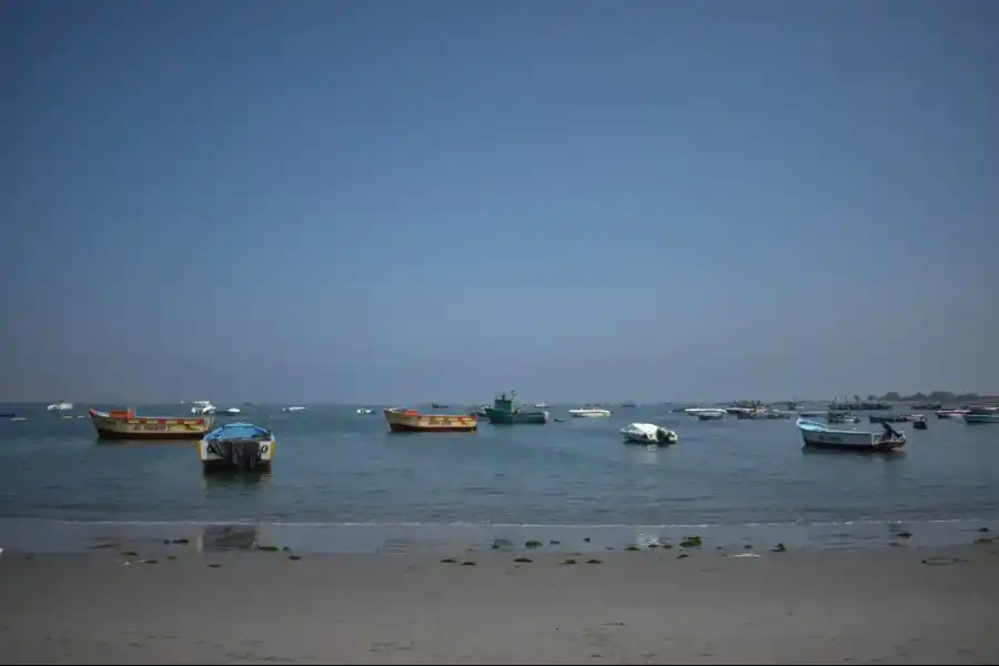 Imagen Bahía De Paracas - Imagen 1