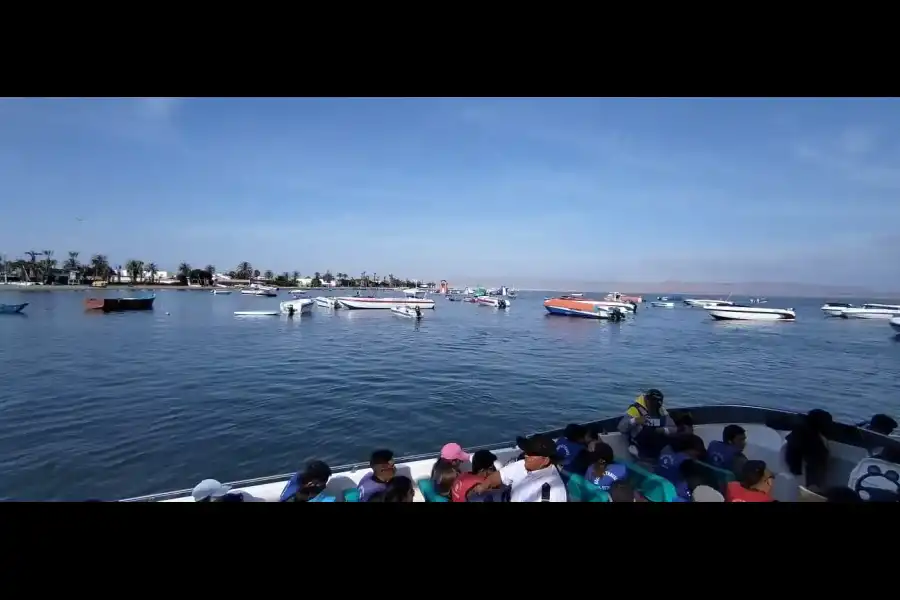 Imagen Bahía De Paracas - Imagen 5